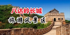 老女人肏中国北京-八达岭长城旅游风景区