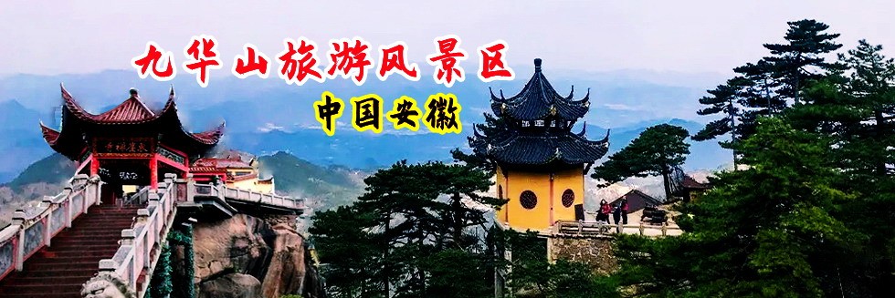 美女张开B让我C到爽网站